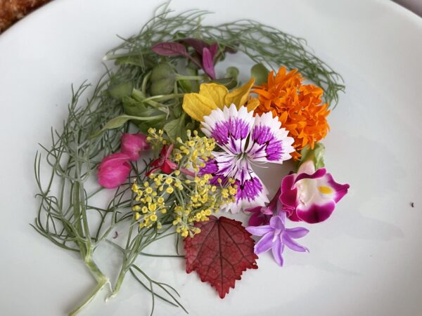 Edible Flowers