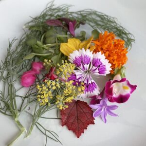 Edible Flowers